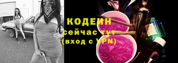 гидропоника Кизел