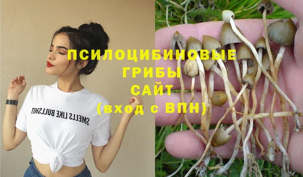 спиды Мегион