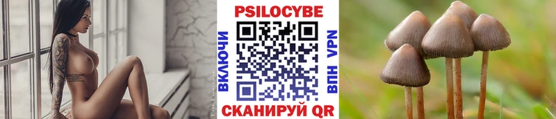 купить  цена  Ленинск  Галлюциногенные грибы мицелий 